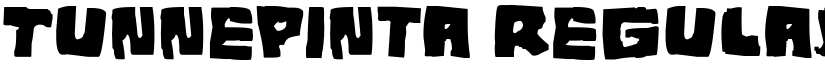 Tunnepinta Regular font