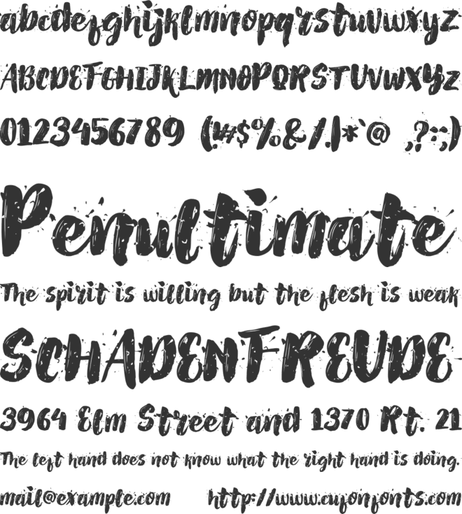 AlexDirte Brush Font font preview