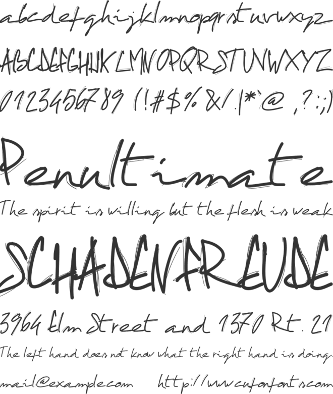 PWCactus font preview