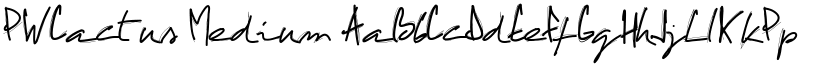 PWCactus font download