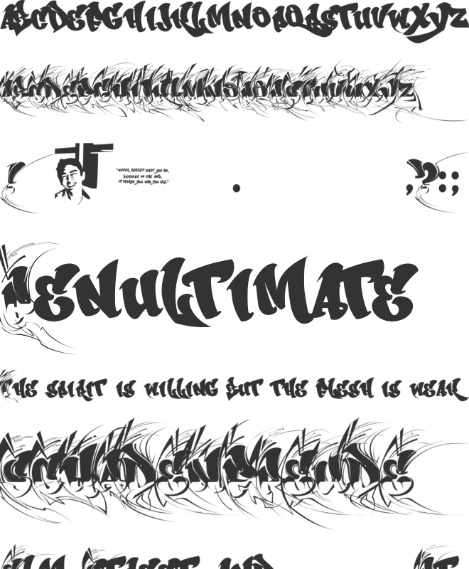 CHASE ZEN SPRAWL font preview