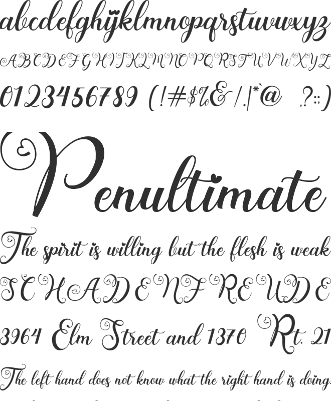 Wedding Paradise font preview