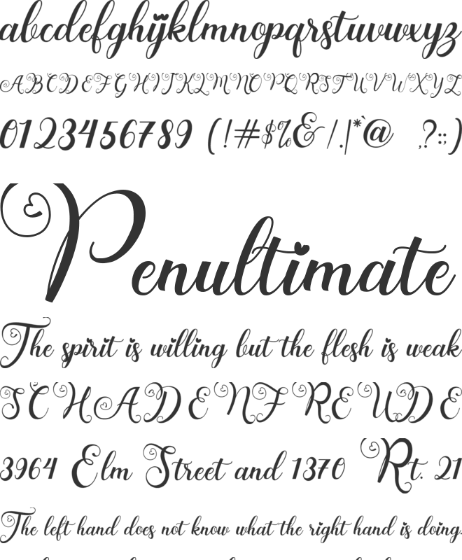 Wedding Paradise font preview