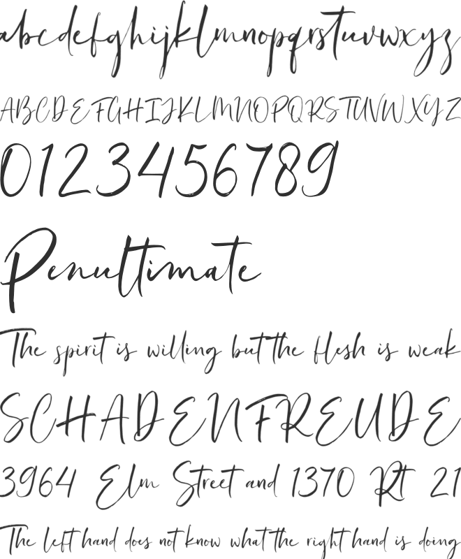 Asillynne font preview