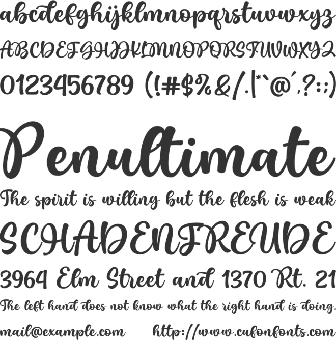 Wonderful Today font preview