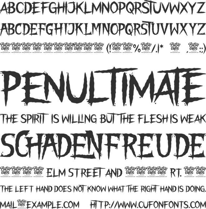 THE NIGHT LAMP font preview