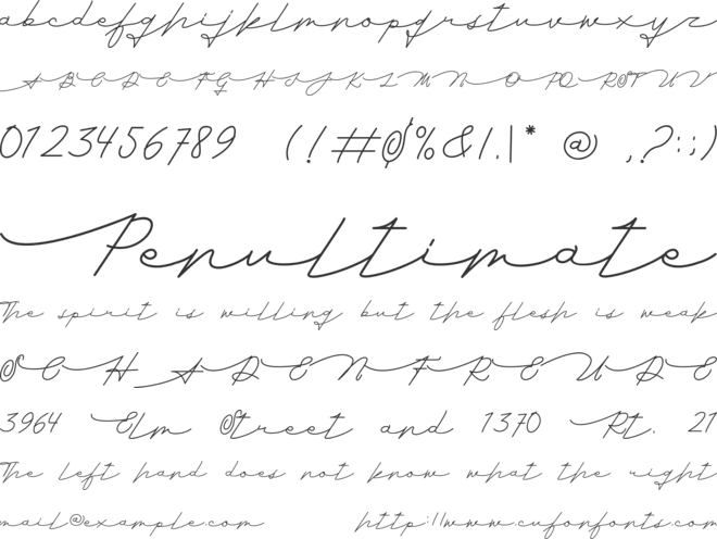 Remember Night font preview