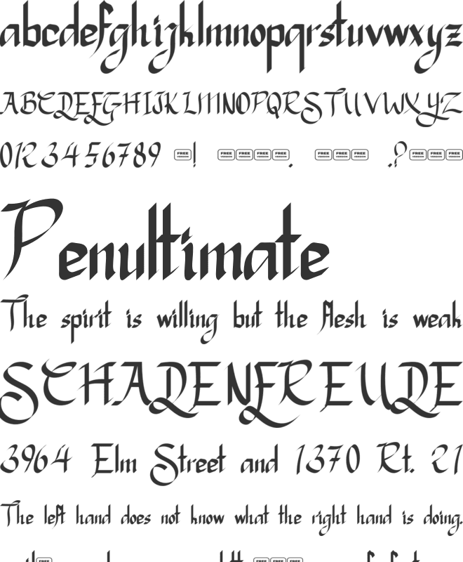 Serkan Free Trial font preview