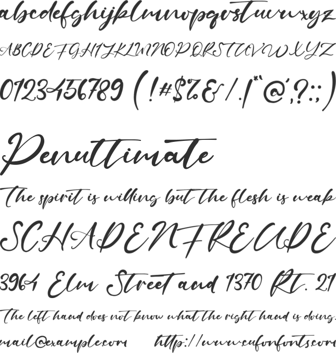 Shallows font preview
