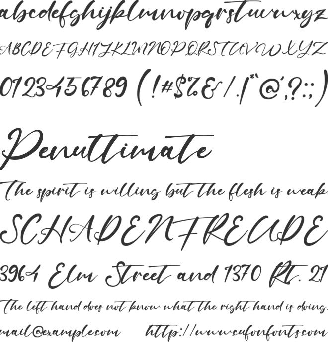 Shallows font preview