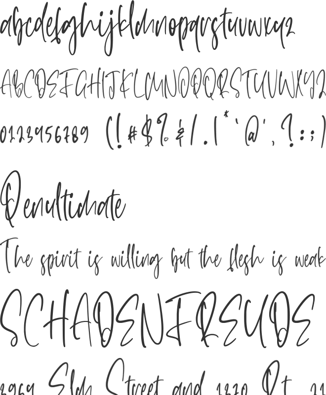 Prentiss font preview