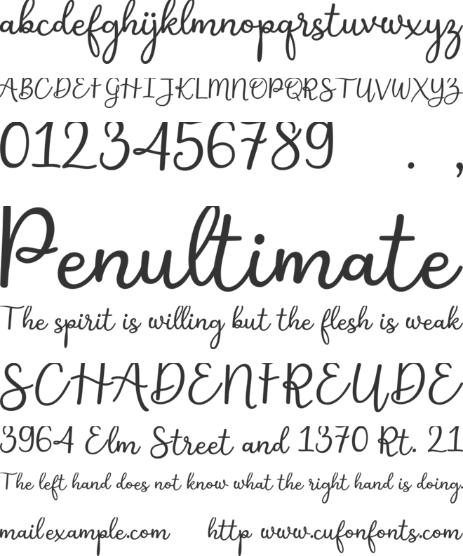 Shakila Script font preview