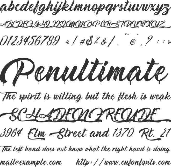 Metal Lady - Personal Use font preview