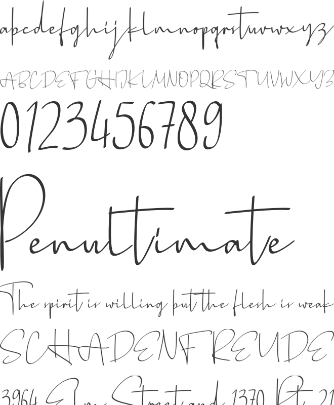 Bellimbing FREE font preview