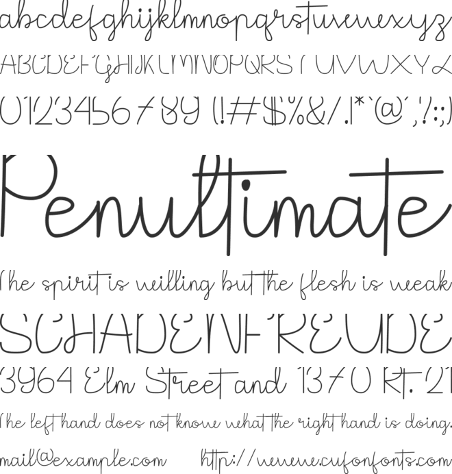 The Notes font preview