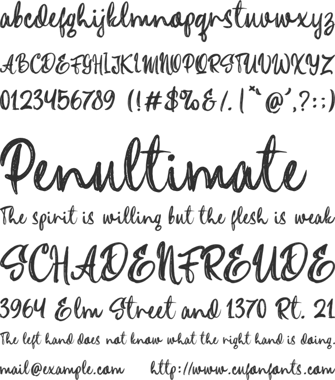 Olince font preview