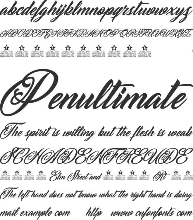 CADILLAC PERSONAL USE font preview
