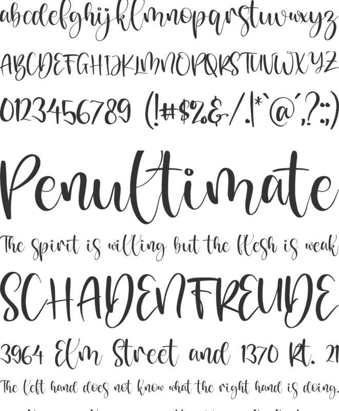 Belinda Asifa font preview