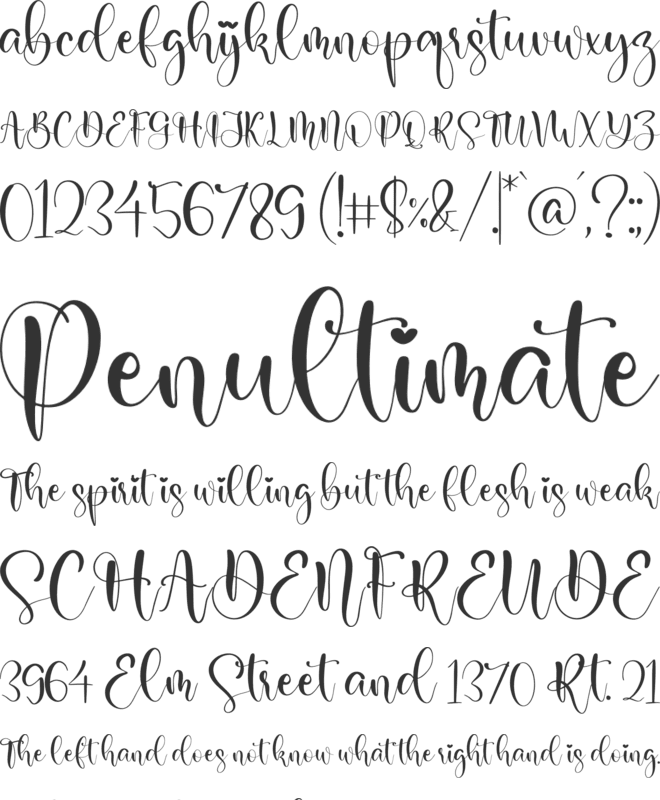 Rialliata Beautiful font preview