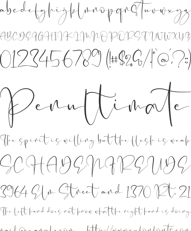 Mellyani Script font preview