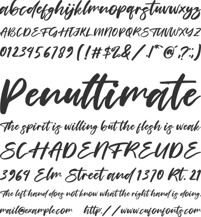 Charming Holiday font preview