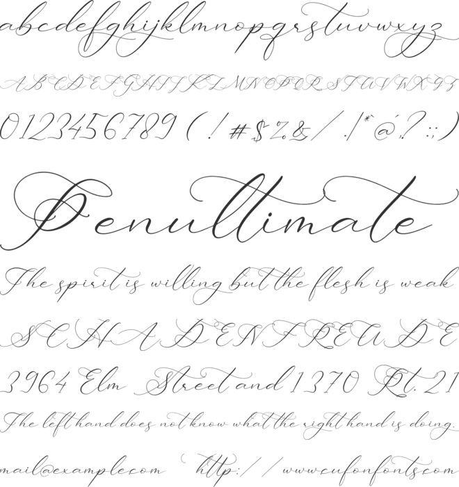 Ladyday font preview