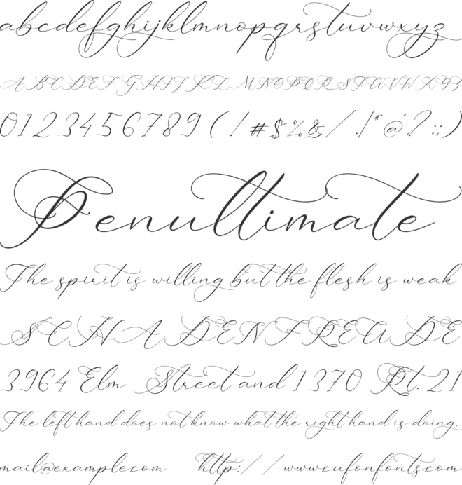 Ladyday font preview