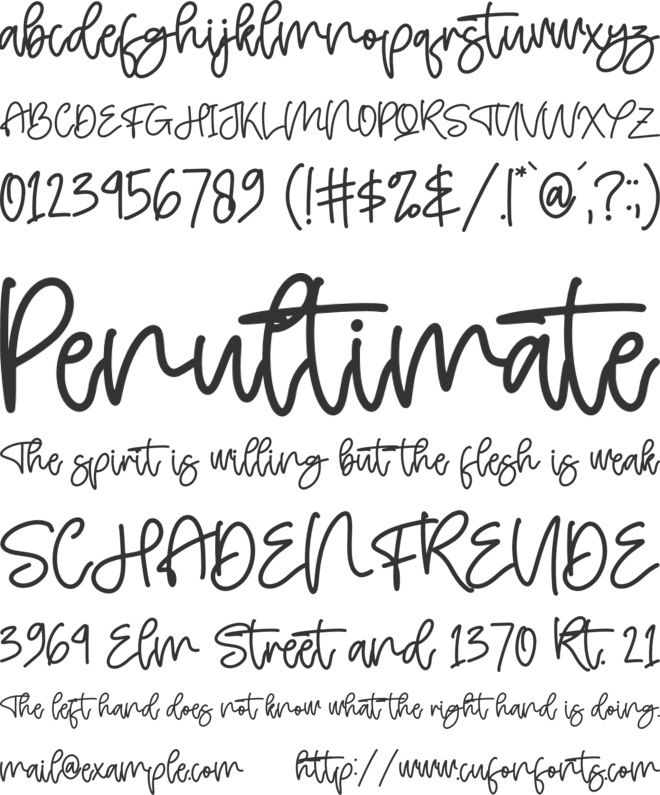 Hello Bird font preview