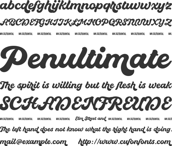 Quintal Script PERSONAL USE ONLY font preview