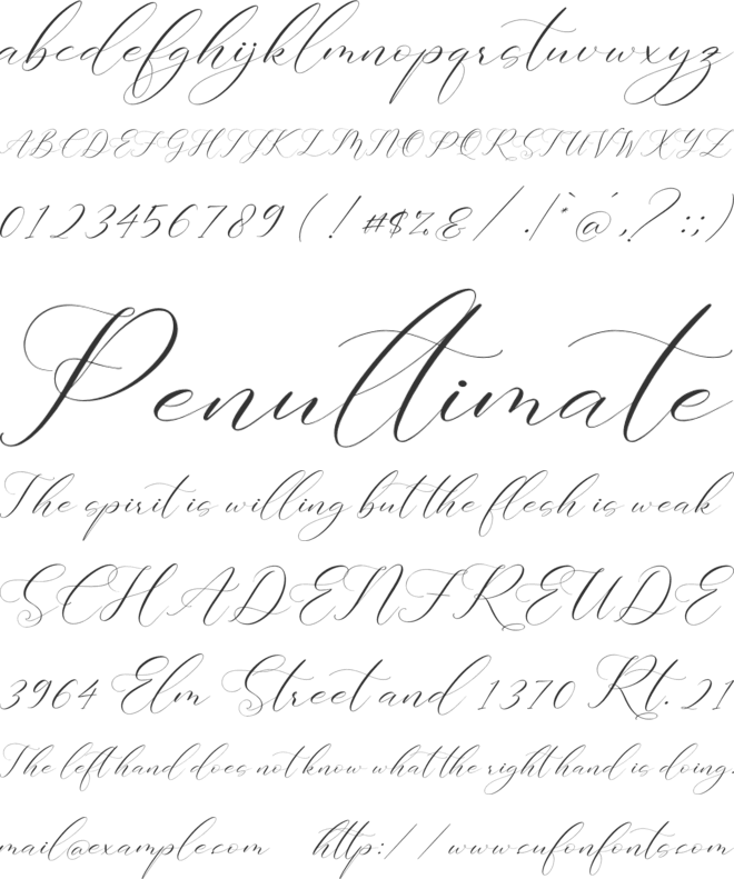 Gashina Lattiva font preview