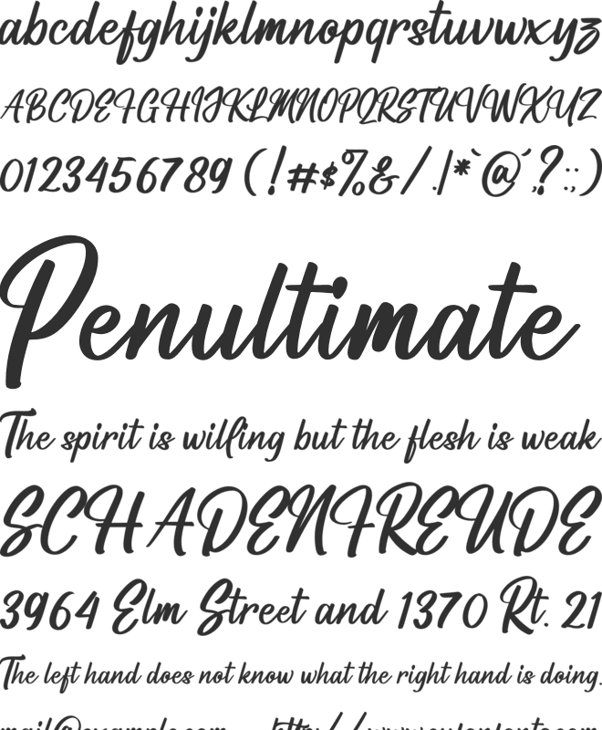 Dominyte Signate font preview