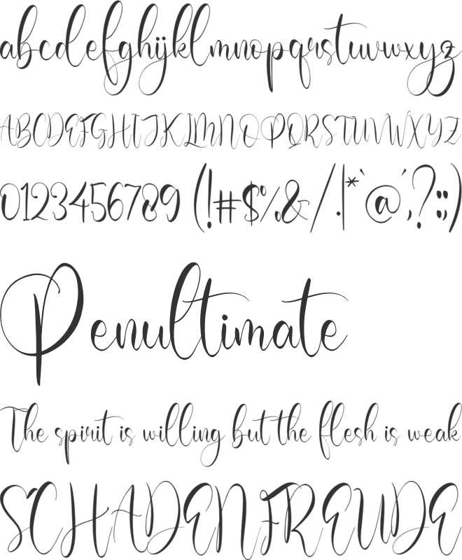 Olivianta Pettcia font preview