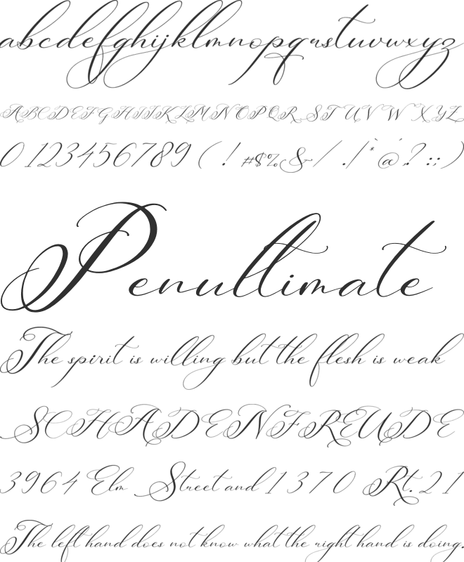 Berlishanty Calligraphy font preview