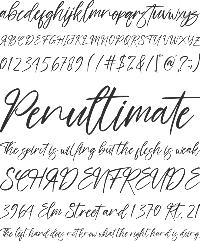 hand script font preview