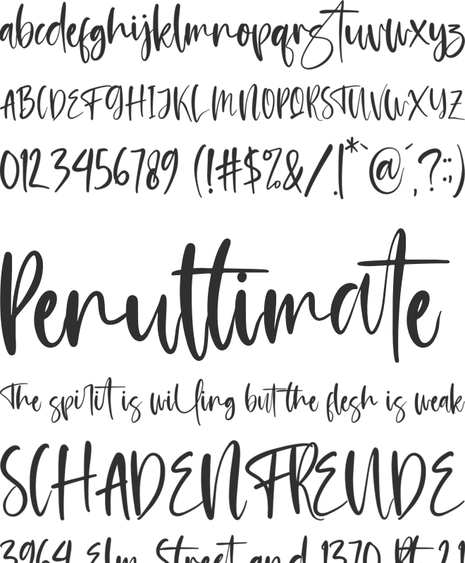 Amsterdam Morning font preview