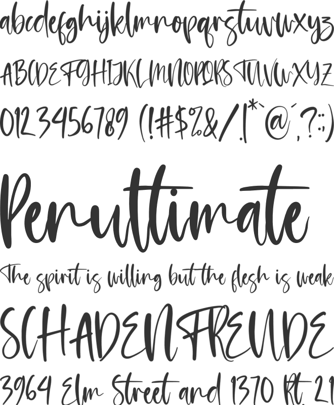 Amsterdam Morning font preview