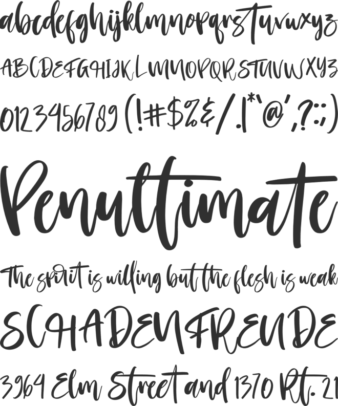Morning font preview