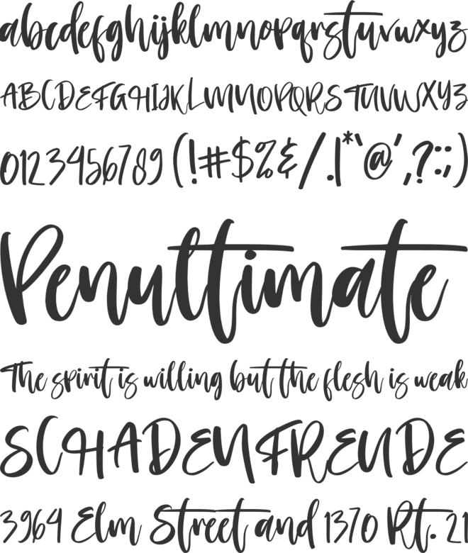 Morning font preview