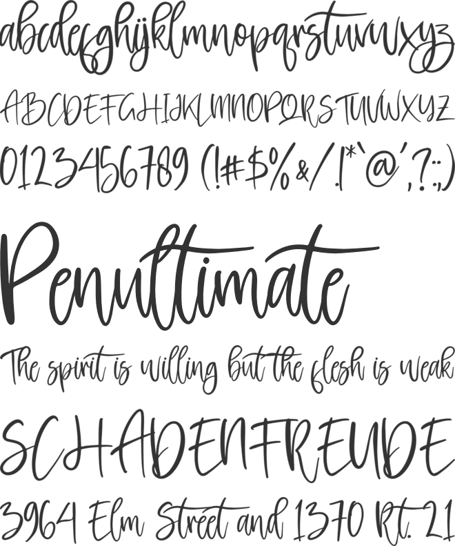 Rockybrown font preview