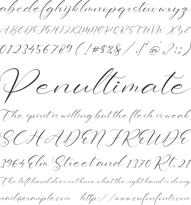 Sttevanie Barbara font preview
