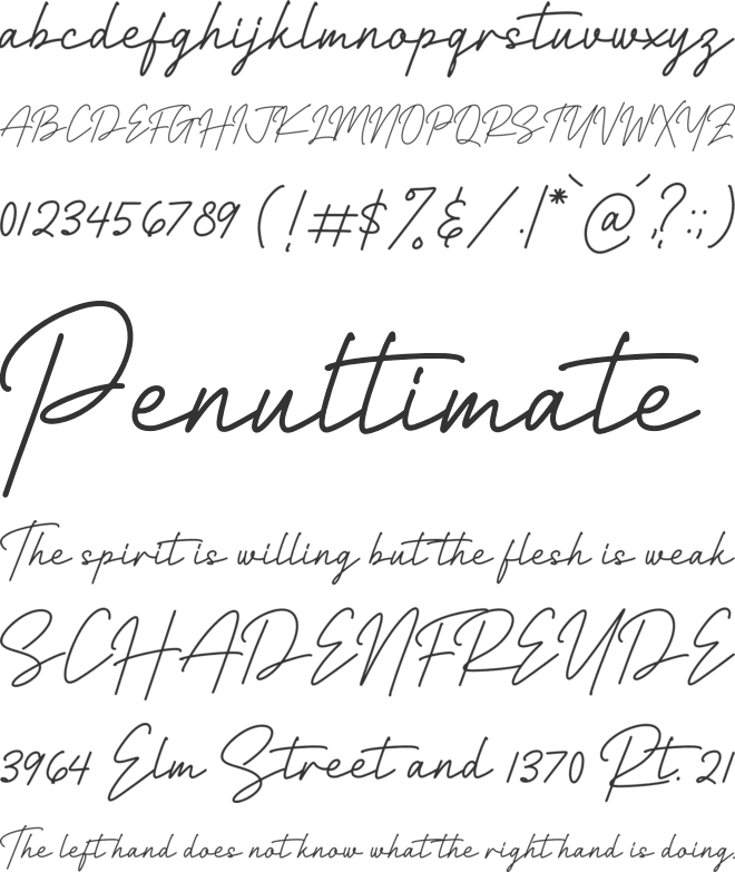 Richard Signatera font preview