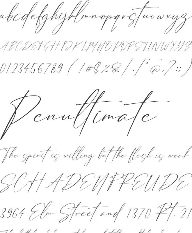Strongela Delmonte font preview