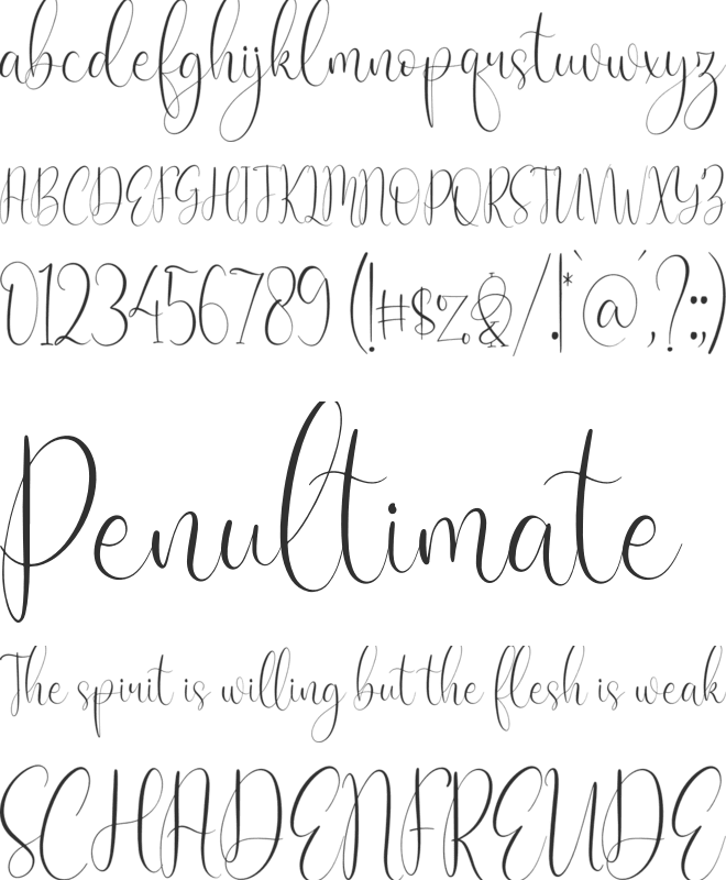 Cattya Brown font preview