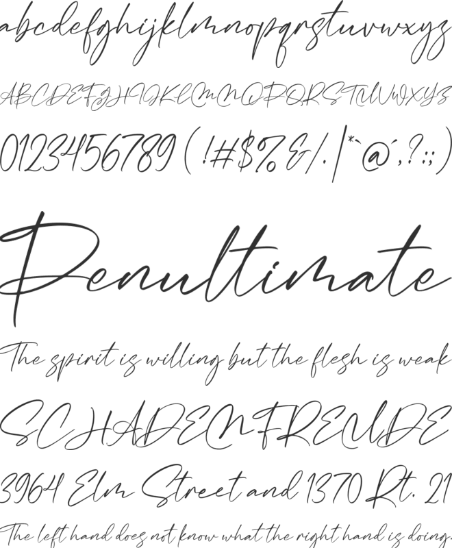 Macthes Bestial font preview