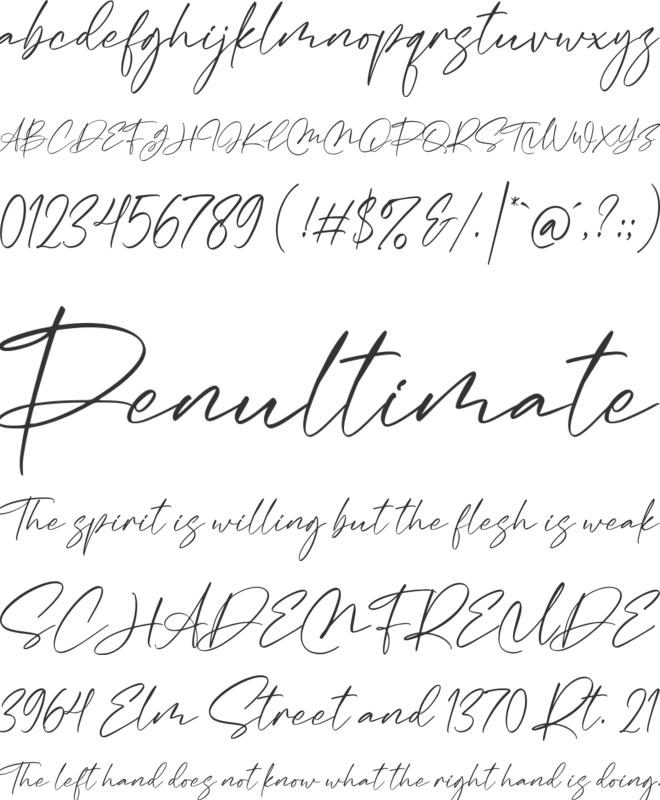 Macthes Bestial font preview