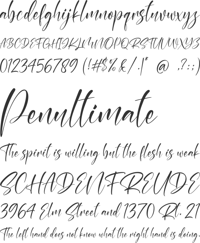 Raissey font preview