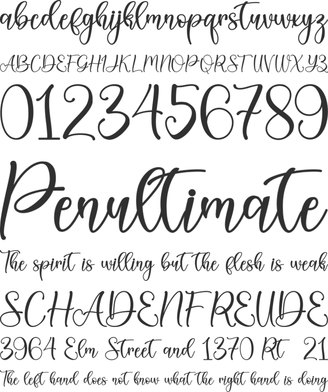 Christmas Nice - Personal Use font preview