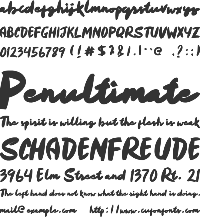 Reallisa font preview