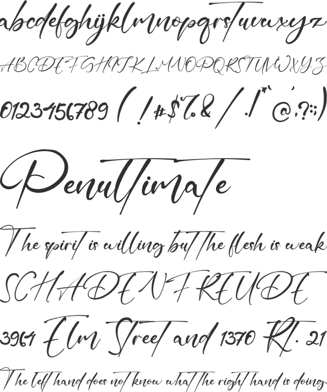 High Horse font preview