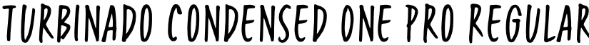 Turbinado Condensed One Pro Regular font